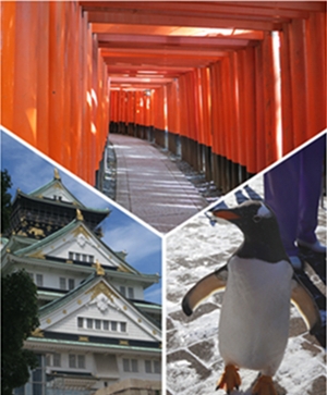 北海道旅遊推薦-大阪、京都、北海道暢遊日本八日行！