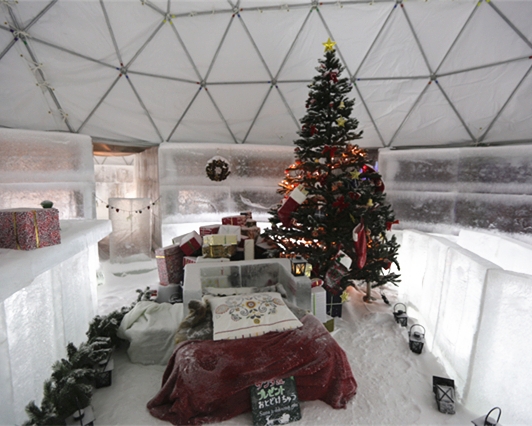 ICE VILLAGE