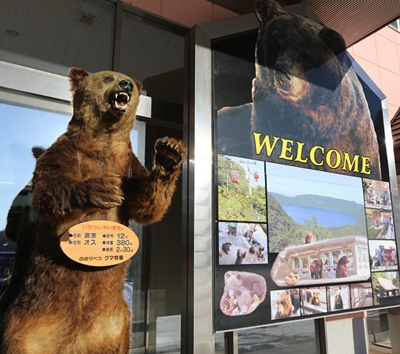 北海道旅遊推薦-熊牧場