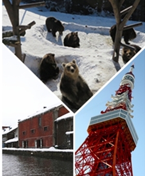 北海道旅遊推薦-繽紛東京、北海道舒壓七日行