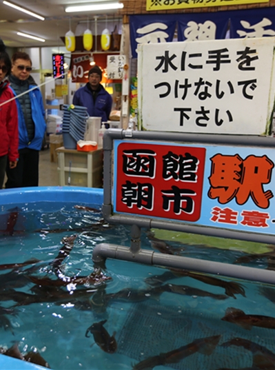 北海道旅遊推薦-函館朝市